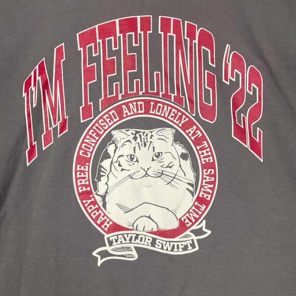 RARE Taylor Swift Cat Sweatshirt Women 2XL I'm Feeling 22 Gray Fleece Lined
